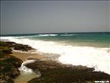 Pelicano Beach - ISABELA